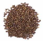 Phyllanthus maderaspatensis seeds (Madras Leaf Flower Seeds/Kanocha)