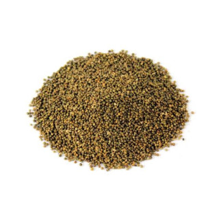 Phyllanthus maderaspatensis seeds (Madras Leaf Flower Seeds/Kanocha)