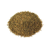 Phyllanthus maderaspatensis seeds (Madras Leaf Flower Seeds/Kanocha)