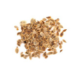 Asafoetida Seeds (Tukhm e Hing)