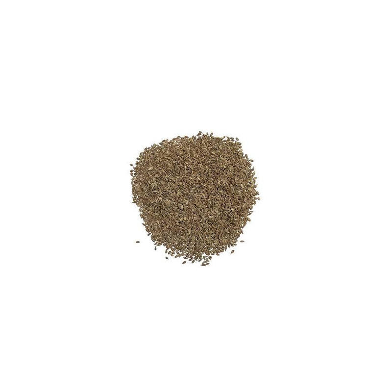 Carrot Seeds (Tukhm e Gajar)