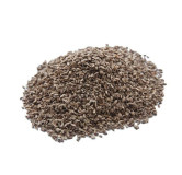 Carrot Seeds (Tukhm e Gajar)