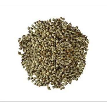 Rue seeds (Tukhm e Sudab)