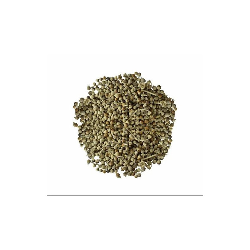 Rue seeds (Tukhm e Sudab)
