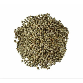 Rue seeds (Tukhm e Sudab)