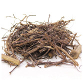 Banyan (Borh Darhi/Ficus Benghalensis)