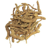 Asrol Choti (Chandan Snake Root)