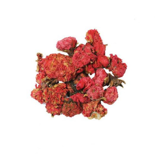 Buy Anar Phool (Pomegranate Flower) Online in Pakistan | Hafiz Pansar