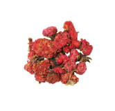 Buy Anar Phool (Pomegranate Flower) Online in Pakistan | Hafiz Pansar