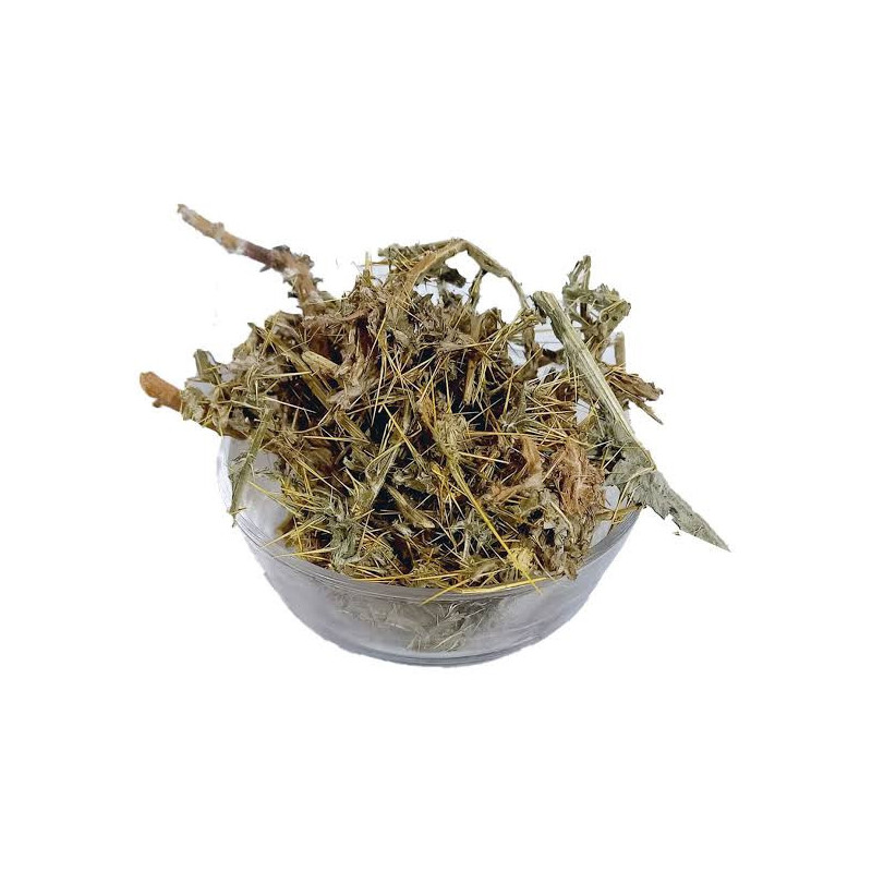Ount Katara (Milk Thistle/Silybum Marianum)