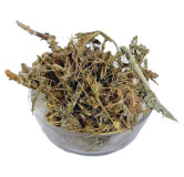 Ount Katara (Milk Thistle/Silybum Marianum)