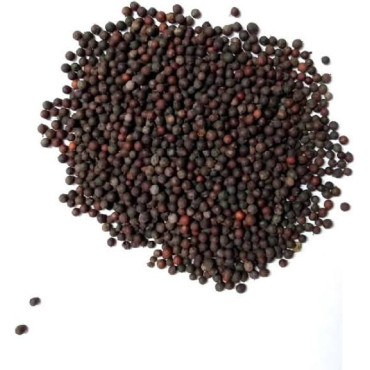 BaoBareng (False Black Pepper)