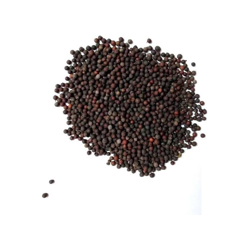 BaoBareng (False Black Pepper)