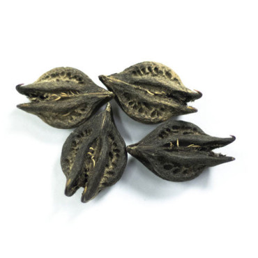 Bichho Booti (Nettle)