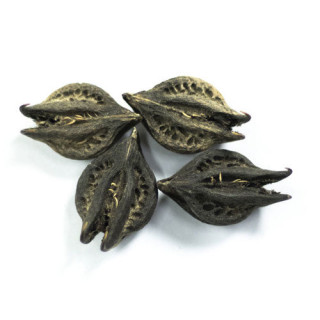 Bichho Booti (Nettle)
