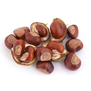 Bandkhor (Horse Chestnut)