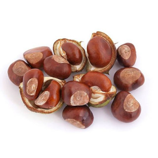 Bandkhor (Horse Chestnut)