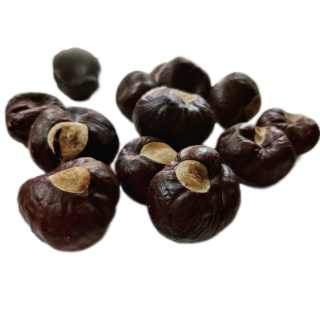 Bandkhor (Horse Chestnut)