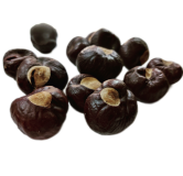 Bandkhor (Horse Chestnut)