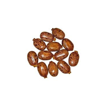 Tukhm-e-Arind Bedanjir (Castor Seeds)