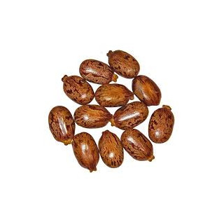 Buy Tukhm-e-Arind Bedanjir (Castor Seeds) Online in Pakistan | Hafiz Pansar
