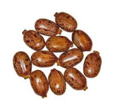 Buy Tukhm-e-Arind Bedanjir (Castor Seeds) Online in Pakistan | Hafiz Pansar