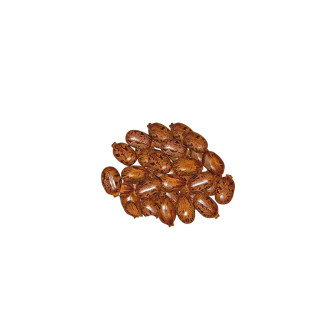 Buy Tukhm-e-Arind Bedanjir (Castor Seeds) Online in Pakistan | Hafiz Pansar