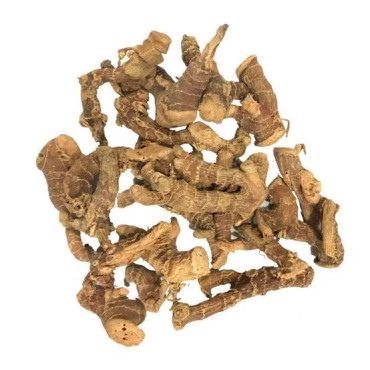 Khulanjan (Greater Galangal)
