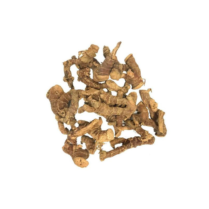 Khulanjan (Greater Galangal)