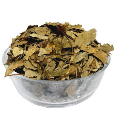 Kari Patta (Curry Leaves)