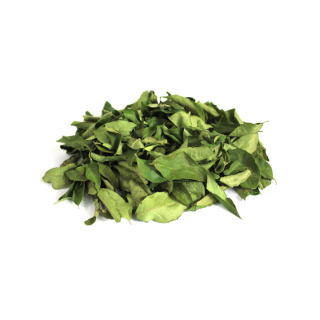 Kari Patta (Curry Leaves)