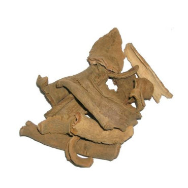 Lodh Pathani (Lotur Bark)