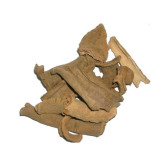 Lodh Pathani (Lotur Bark)