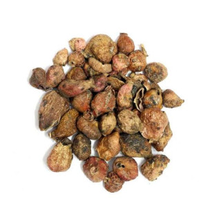 Gul-e-Pista (Pistachio Flower)