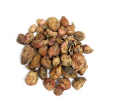 Gul-e-Pista (Pistachio Flower)