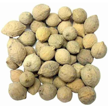 Jiya Pota (Putrajeevak)