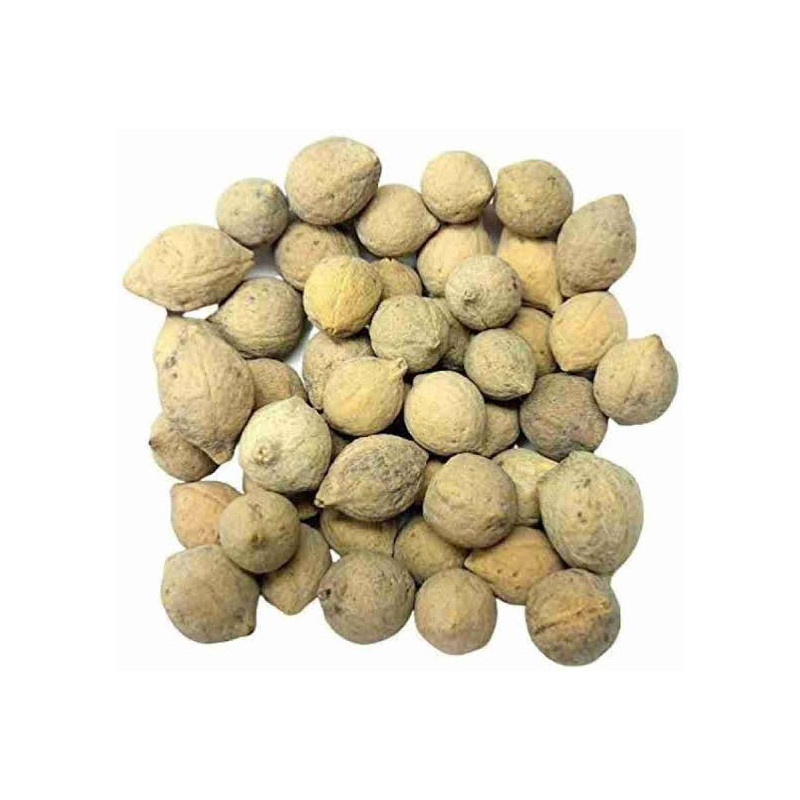 Jiya Pota (Putrajeevak)