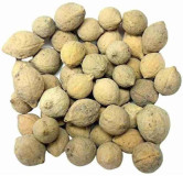 Jiya Pota (Putrajeevak)