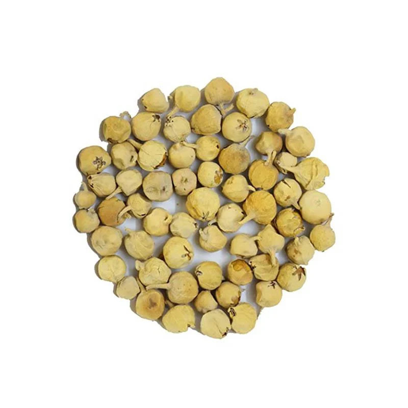 Buy Withania Coagulans (Paneer Doda) Online – Hafiz Pansar | Natural Health & Milk Coagulant Buy Withania Coagulans (Paneer Doda) Online – Hafiz Pansar | Natural Health & Milk Coagulant