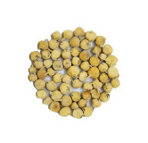 Withania Coagulans (Indian Rennet or Paneer Dodi