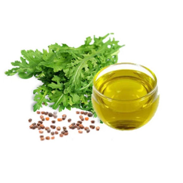 Pure Taramira Oil in Pakistan – Arugula Oil for Hair & Joint Care | Hafiz Pansar