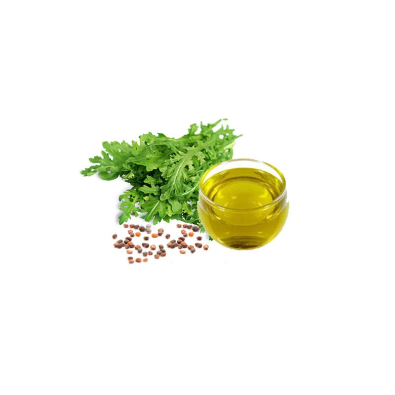 Pure Taramira Oil in Pakistan – Arugula Oil for Hair & Joint Care | Hafiz Pansar