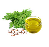 Pure Taramira Oil in Pakistan – Arugula Oil for Hair & Joint Care | Hafiz Pansar