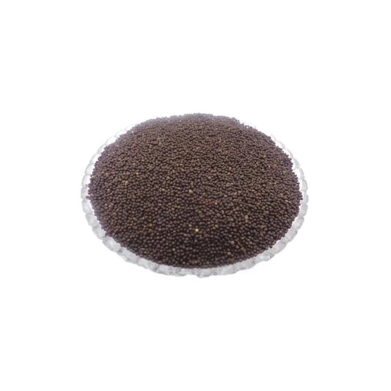 Buy Mexican Poppy Seeds (Tukhm-e-Satenasee) Online - Natural Dry Fruits | Hafiz Pansar