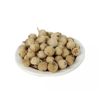 Withania Coagulans (Indian Rennet or Paneer Dodi