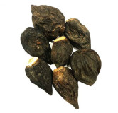 Salep Orchid Root (Salab Dana)