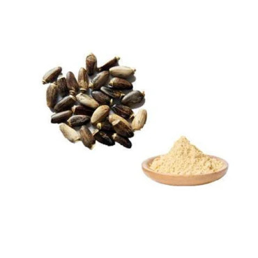 Silymarin (Milk Thistle Extract)