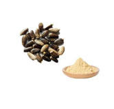 Silymarin (Milk Thistle Extract)