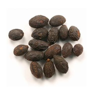 Saw Palmetto Berries