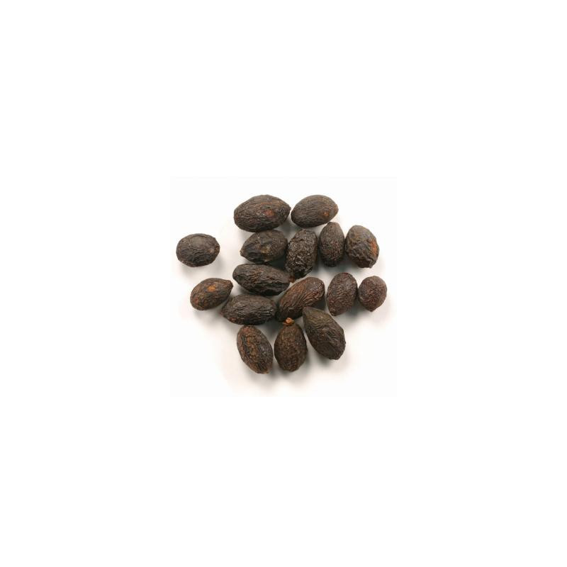Saw Palmetto Berries